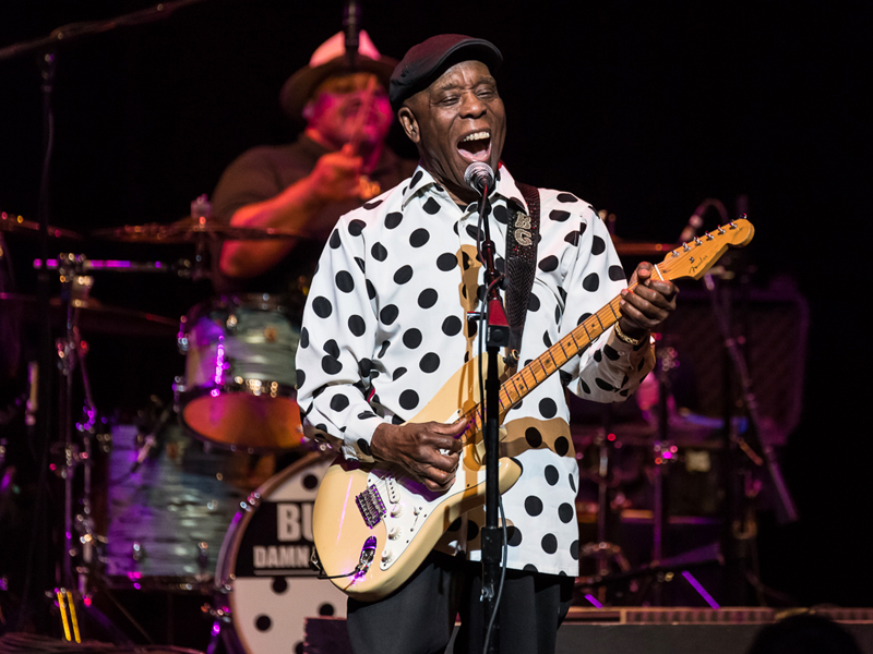 Buddy Guy at Meadow Brook Amphitheatre